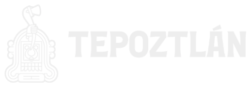 Ayuntamiento de Tepoztlán 2025-2027